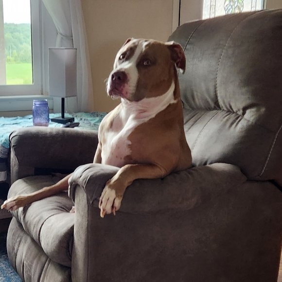 Meet your Posher, Joyce - Picture 4 of 4